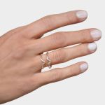 Anillo-Belsir-PNAP001-2.jpg