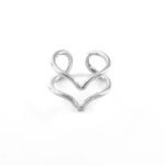 Anillo-Belsir-PNAP001.jpg
