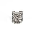 Anillo-Silar-PNAP004.jpg